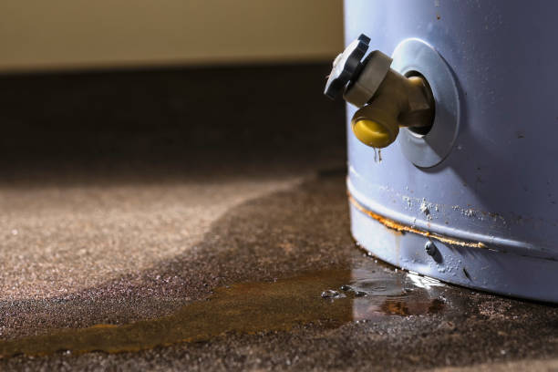  Bluff City, TN Water damage restoration Pros