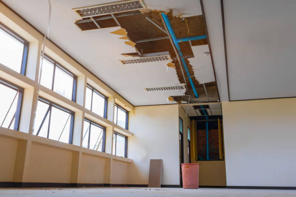 Best Sewage cleanup and water damage restoration  in Bluff City, TN