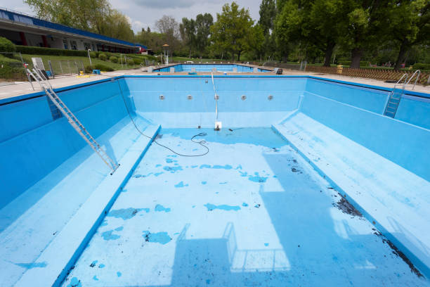Best Local water damage restoration  in Bluff City, TN