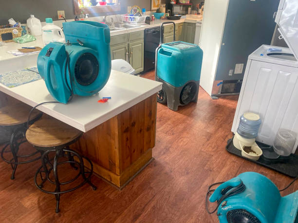 Best Water damage cleanup near me  in Bluff City, TN