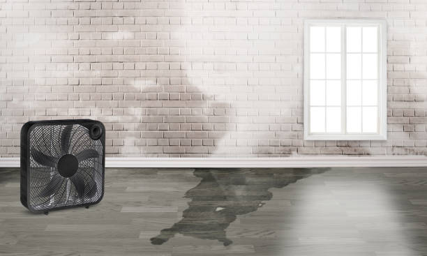 Best Commercial water damage restoration  in Bluff City, TN