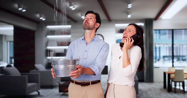 Best 24/7 water damage repair  in Bluff City, TN