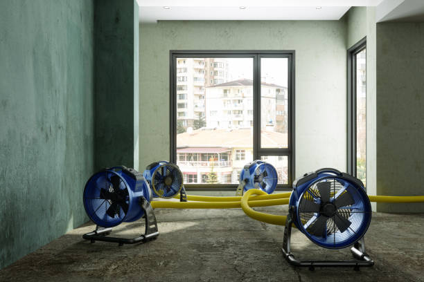Best Water damage restoration near me  in Bluff City, TN